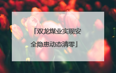 双龙煤业实现安全隐患动态清零
