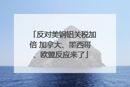 反对美钢铝关税加倍 加拿大、墨西哥、欧盟反应来了