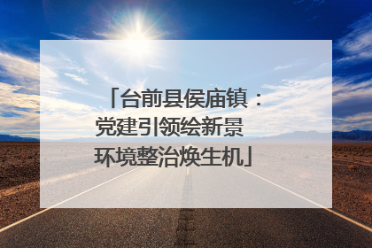台前县侯庙镇：党建引领绘新景 环境整治焕生机