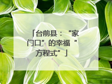 台前县：“家门口”的幸福“方程式”