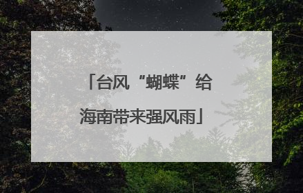 台风“蝴蝶”给海南带来强风雨