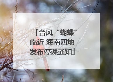 台风“蝴蝶”临近 海南四地发布停课通知