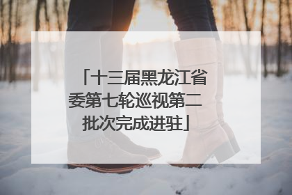 十三届黑龙江省委第七轮巡视第二批次完成进驻