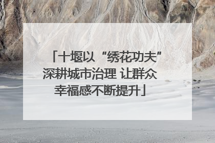 十堰以“绣花功夫”深耕城市治理 让群众幸福感不断提升