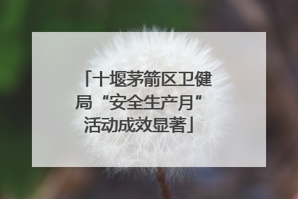 十堰茅箭区卫健局“安全生产月”活动成效显著