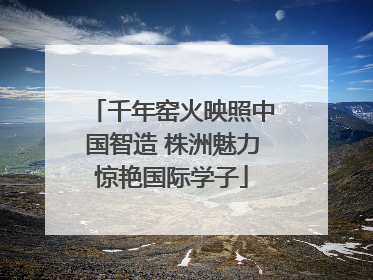 千年窑火映照中国智造 株洲魅力惊艳国际学子