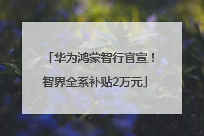 华为鸿蒙智行官宣！智界全系补贴2万元