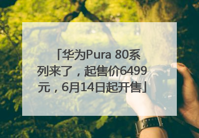 华为Pura 80系列来了，起售价6499元，6月14日起开售