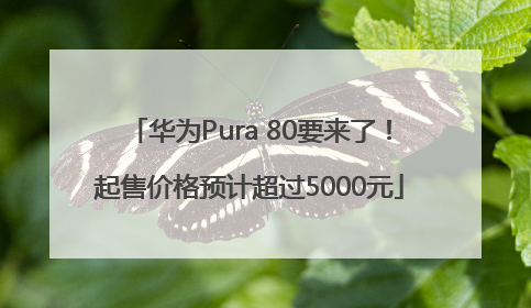 华为Pura 80要来了！起售价格预计超过5000元