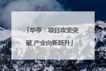 华亭：项目攻坚突破 产业向新跃升