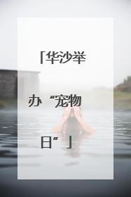 华沙举办“宠物日”
