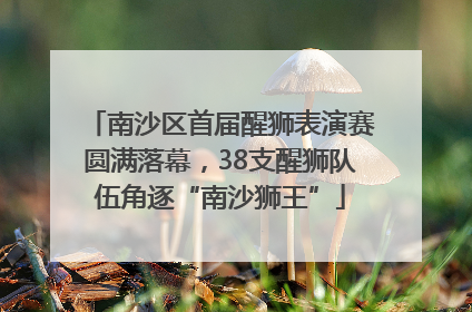 南沙区首届醒狮表演赛圆满落幕，38支醒狮队伍角逐“南沙狮王”