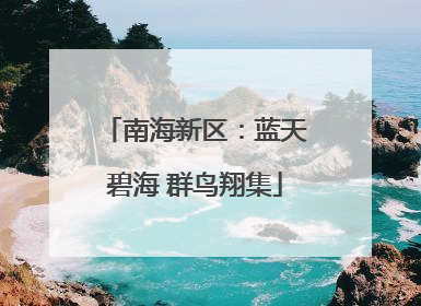 南海新区：蓝天碧海 群鸟翔集
