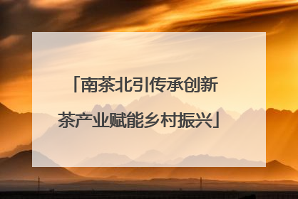 南茶北引传承创新 茶产业赋能乡村振兴