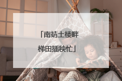 南靖土楼畔 梯田插秧忙