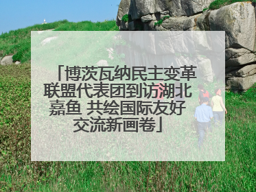 博茨瓦纳民主变革联盟代表团到访湖北嘉鱼 共绘国际友好交流新画卷