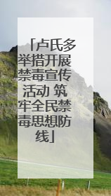 卢氏多举措开展禁毒宣传活动 筑牢全民禁毒思想防线