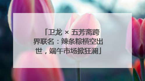卫龙 × 五芳斋跨界联名：辣条粽横空出世，端午市场掀狂澜