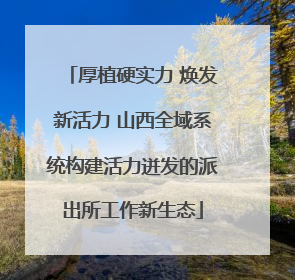 厚植硬实力 焕发新活力 山西全域系统构建活力迸发的派出所工作新生态