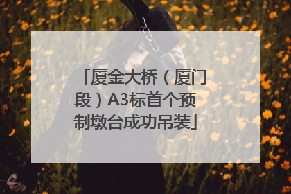 厦金大桥（厦门段）A3标首个预制墩台成功吊装