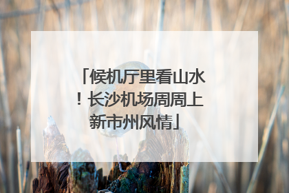 候机厅里看山水！长沙机场周周上新市州风情