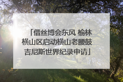 借丝博会东风 榆林横山区启动横山老腰鼓吉尼斯世界纪录申请