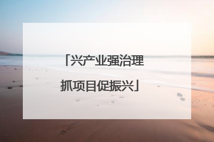 兴产业强治理 抓项目促振兴