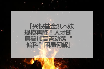 兴银基金洪木妹规模再降！人才断层叠加高管动荡“偏科”困局何解