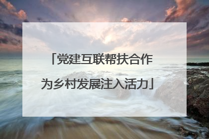 党建互联帮扶合作 为乡村发展注入活力