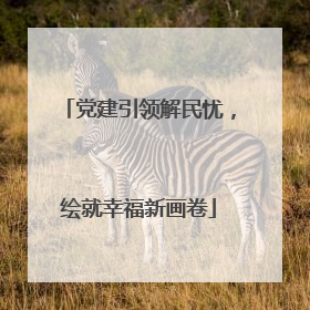 党建引领解民忧，绘就幸福新画卷