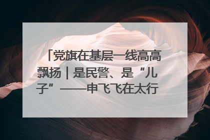 党旗在基层一线高高飘扬｜是民警、是“儿子”——申飞飞在太行山中的一线坚守