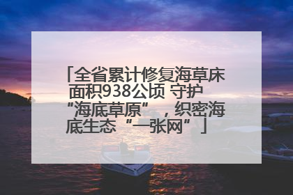 全省累计修复海草床面积938公顷 守护“海底草原”，织密海底生态“一张网”