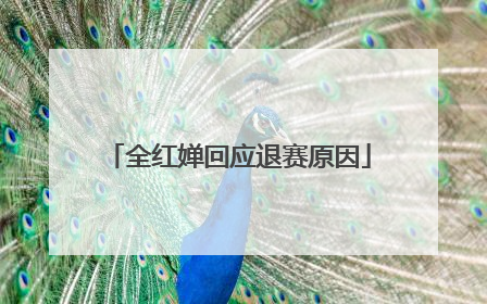全红婵回应退赛原因