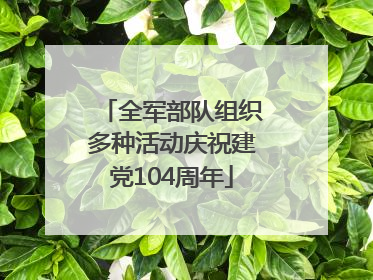 全军部队组织多种活动庆祝建党104周年