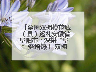 全国双拥模范城（县）巡礼安徽省阜阳市：深耕“阜”务培热土 双拥之花向“阳”开