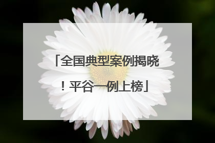 全国典型案例揭晓！平谷一例上榜