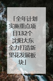 全年计划实施重点项目132个 沈阳大东全力打造新望花发展板块