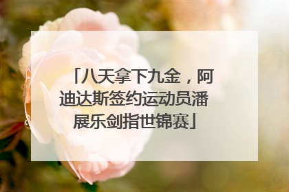 八天拿下九金，阿迪达斯签约运动员潘展乐剑指世锦赛