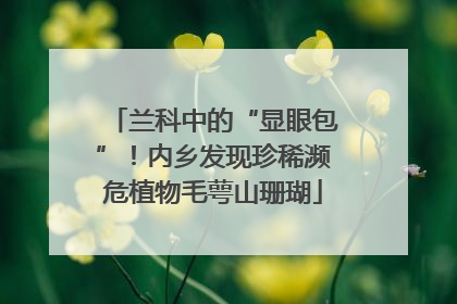 兰科中的“显眼包”！内乡发现珍稀濒危植物毛萼山珊瑚