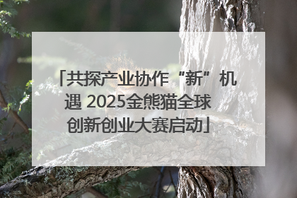 共探产业协作“新”机遇 2025金熊猫全球创新创业大赛启动