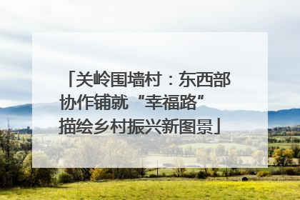 关岭围墙村：东西部协作铺就“幸福路” 描绘乡村振兴新图景