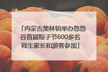 内蒙古美林镇举办悠悠谷首届粽子节600多名师生家长和游客参加