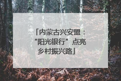 内蒙古兴安盟：“阳光银行”点亮乡村振兴路