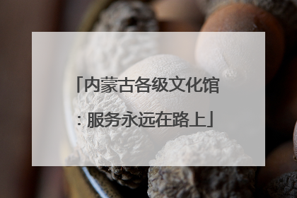 内蒙古各级文化馆：服务永远在路上