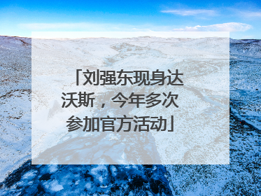 刘强东现身达沃斯，今年多次参加官方活动