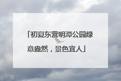 初夏东营明潭公园绿意盎然，景色宜人