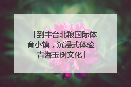 到丰台北粮国际体育小镇，沉浸式体验青海玉树文化
