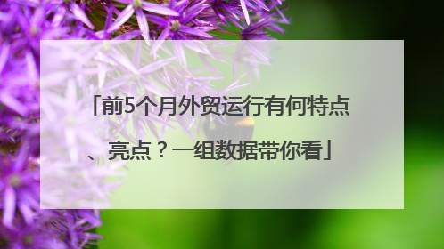前5个月外贸运行有何特点、亮点？一组数据带你看