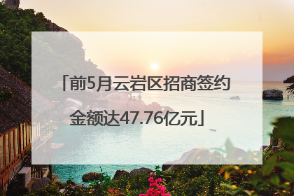 前5月云岩区招商签约金额达47.76亿元