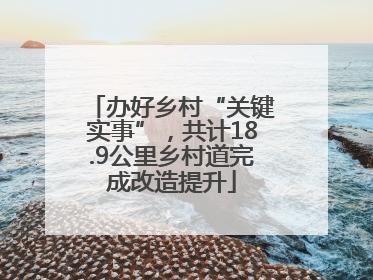 办好乡村“关键实事”，共计18.9公里乡村道完成改造提升